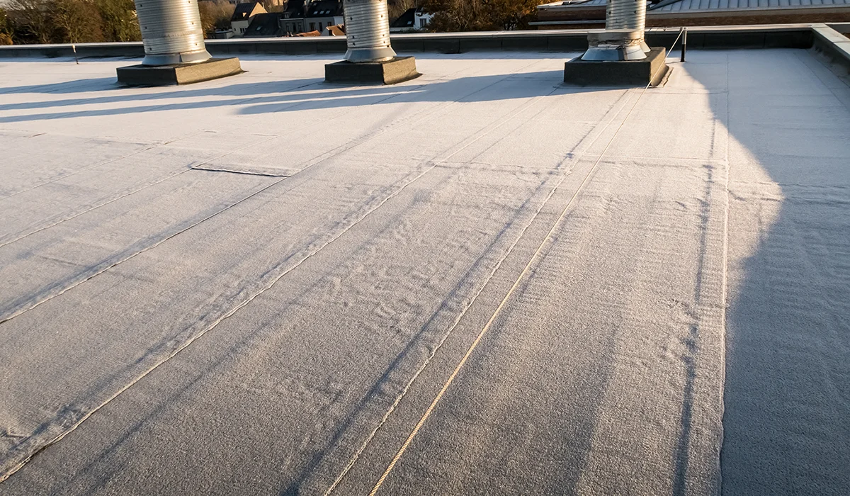 Roof Coating Process